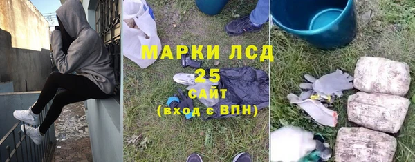 ПСИЛОЦИБИНОВЫЕ ГРИБЫ Лихославль