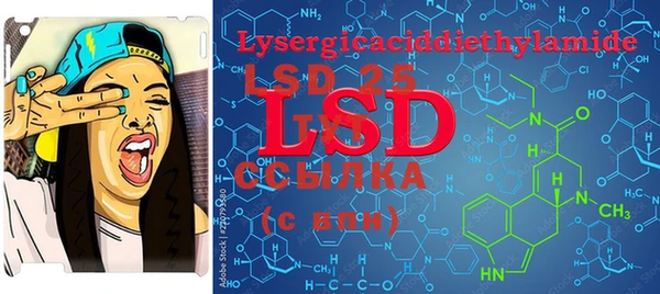 ECSTASY Кукмор