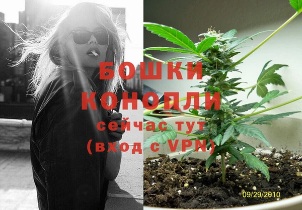 СК Липки