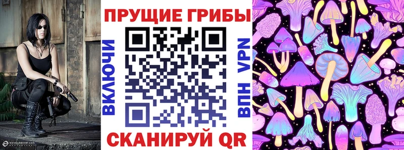 Купить закладки  Ардон  Галлюциногенные грибы MAGIC MUSHROOMS 